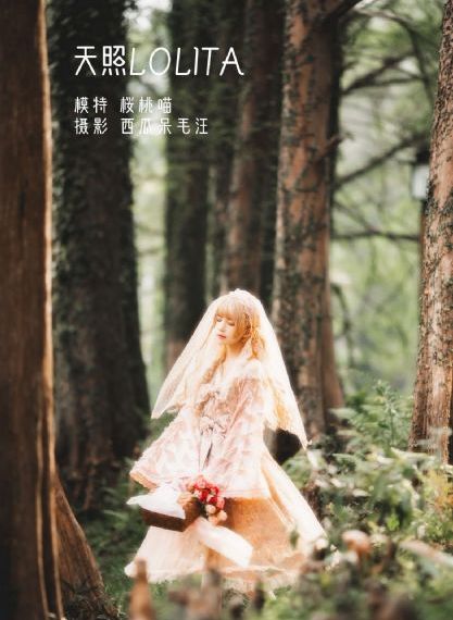 完美的妻子韩剧_4K免费播放